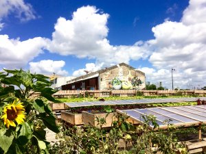 tripsuzette-le-voyage-a-nantes-potager-cantine